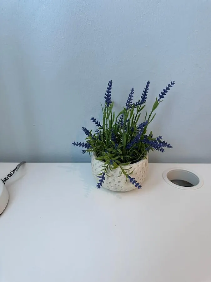 Noe Hotel One Bedroom #3 蓬塔卡纳 0*,
